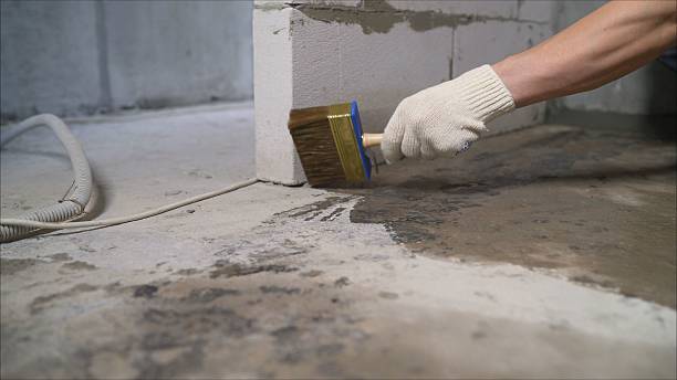 24/7 Emergency Crawl Space Encapsulation experts in Alexander, NY